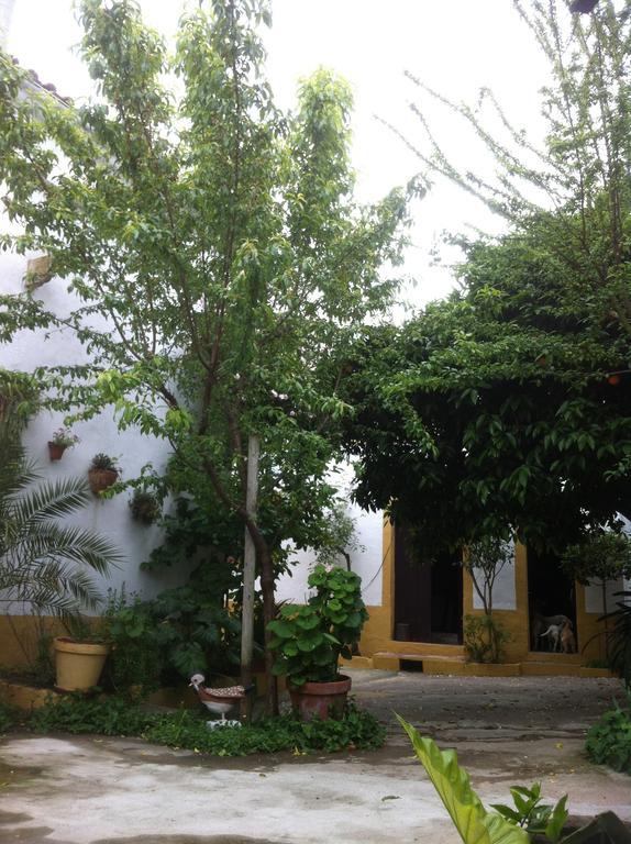 Patio Das Flores Феррейра-ду-Алентежу Екстер'єр фото