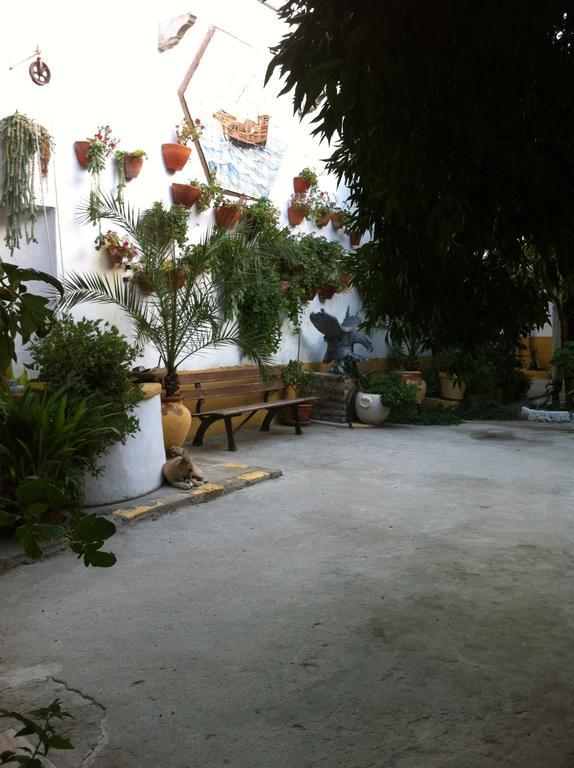 Patio Das Flores Феррейра-ду-Алентежу Екстер'єр фото