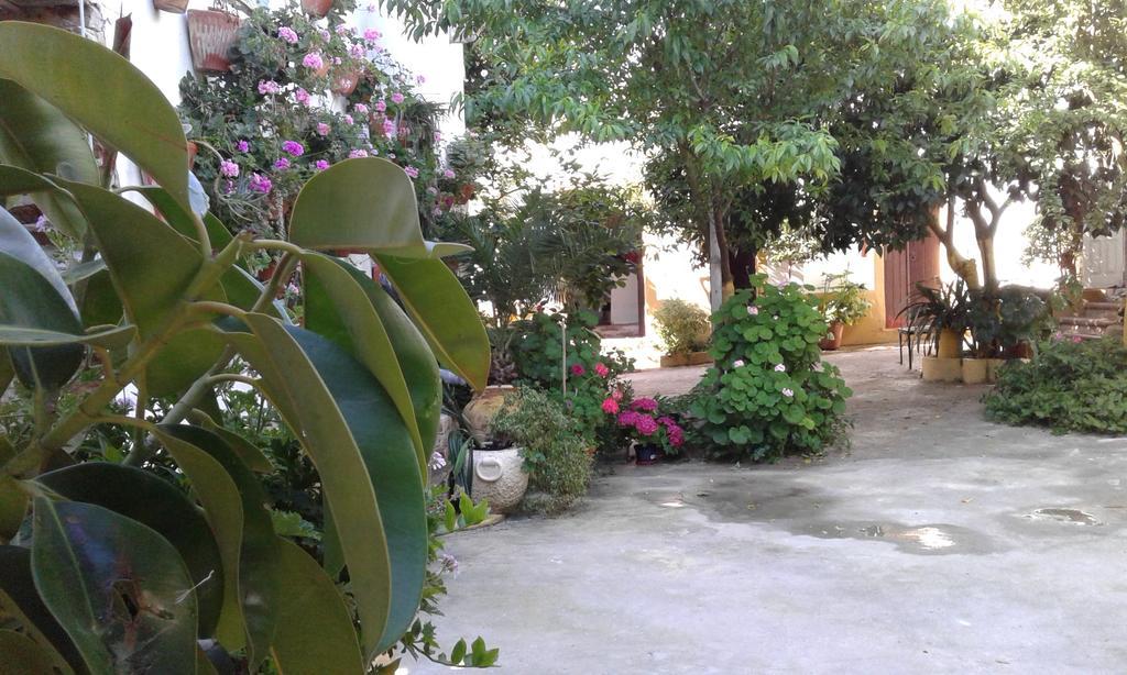Patio Das Flores Феррейра-ду-Алентежу Екстер'єр фото