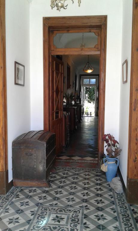 Patio Das Flores Феррейра-ду-Алентежу Екстер'єр фото